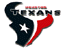 Houston Texans